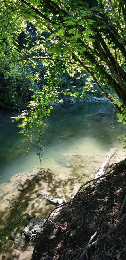 Albatros 40 M2, 2 Pieces Pres Cote D'azur, Piscine, Parking, Proche Du Golf St Donat Mouans-Sartoux